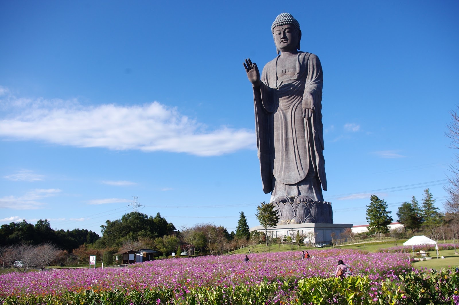 Statue de Bouddha Amitabha